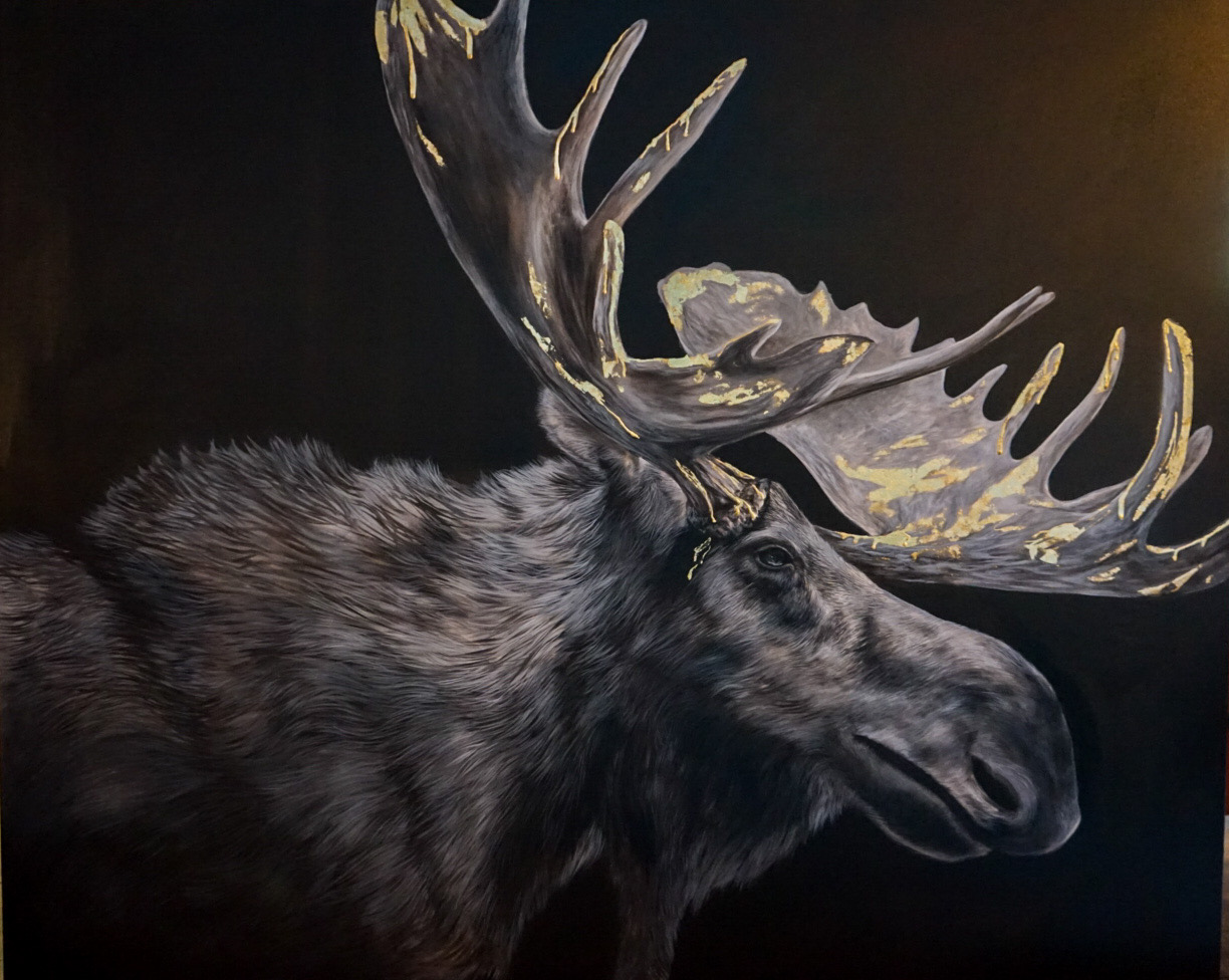 Moose study, gold-leaf wildlife artwork by Ashley Rader