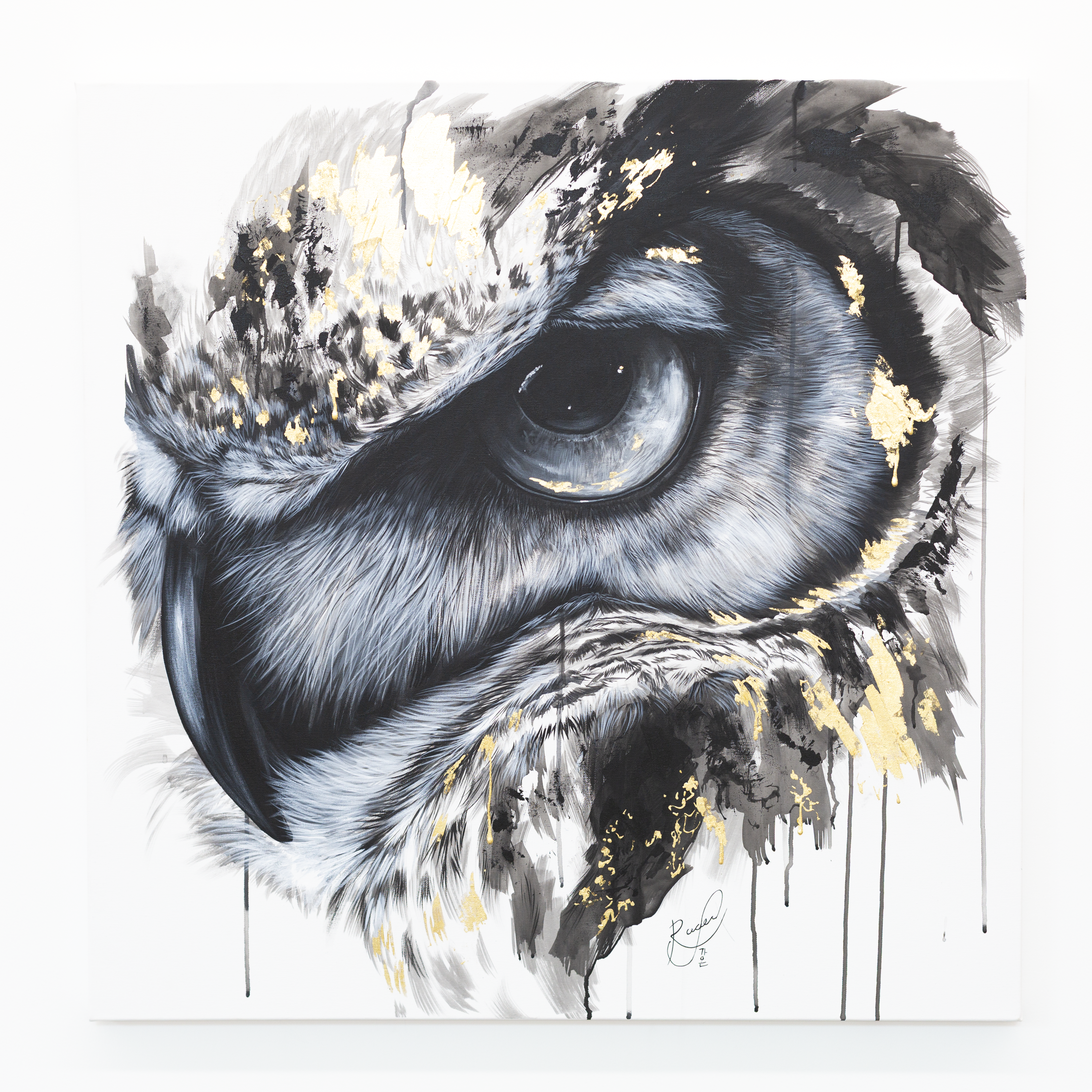 Owl Study by Ashley Rader